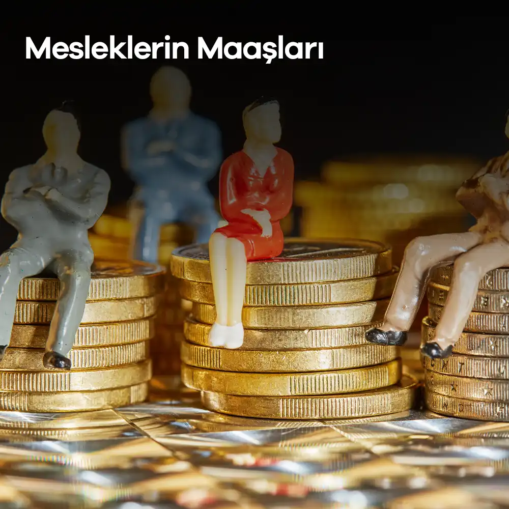 Mesleklerin Maaşları